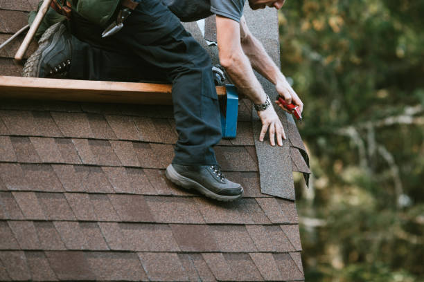 Best Roof Gutter Cleaning  in Middle River, MD